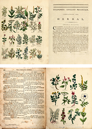 Two book spreads showing multiple plants and text