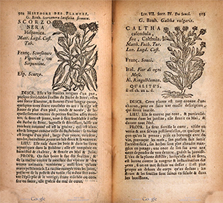 two pages of a book showing flowers and text