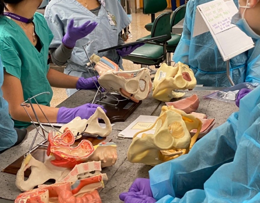 Medical students interacting with plastic models of bones