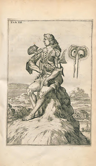 Drawing of anatomy in a living person by John Browne from Myographia Nova