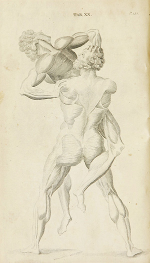 Drawing from book Anatomical Tables of the Human Body.