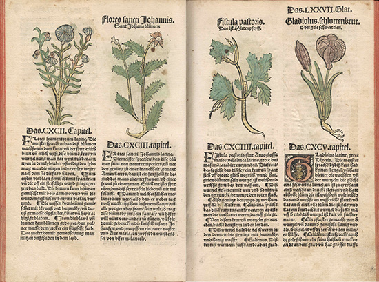 four colorful drawings from the horticulture encyclopedia Hortus Sanitatis